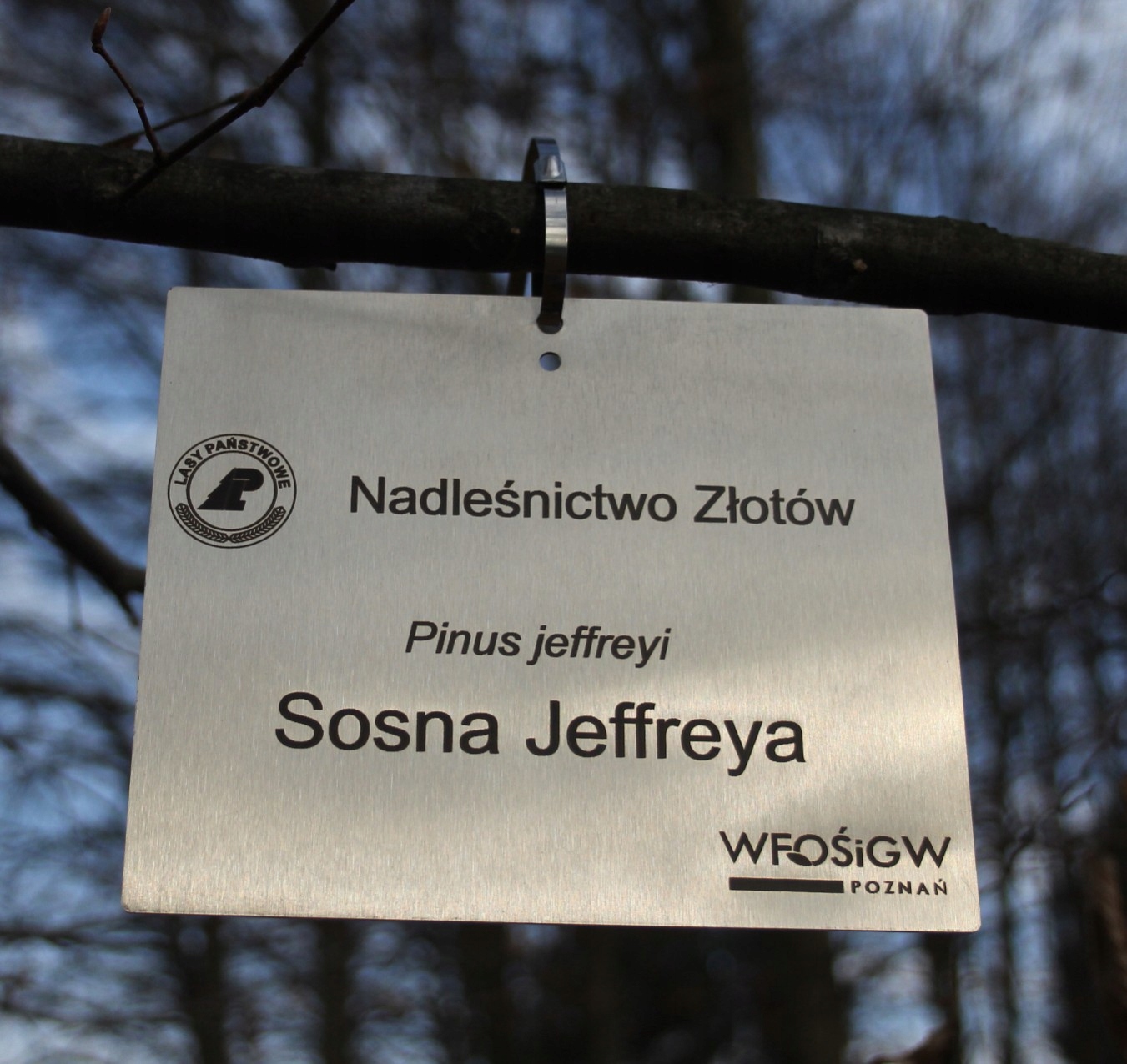 Záhradná plaketa/značka, nehrdzavejúca oceľ, gravírovaná laserom (155x105